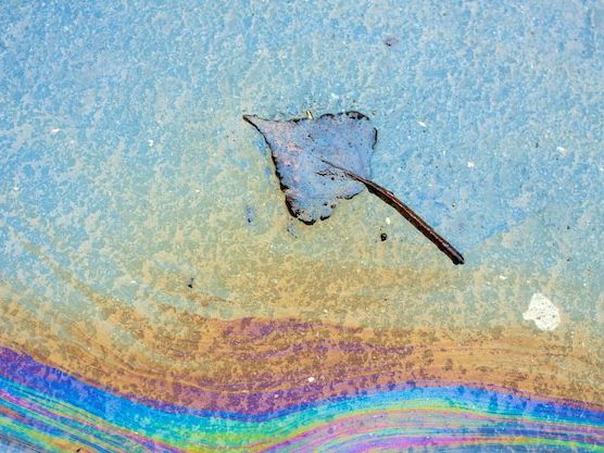 Wpływ kolorów morskich na nastrój i aranżację wnętrz – jak stworzyć przestrzeń pełną spokoju i elegancji